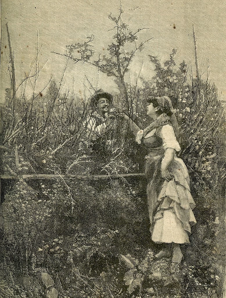 La Primavera nei campi